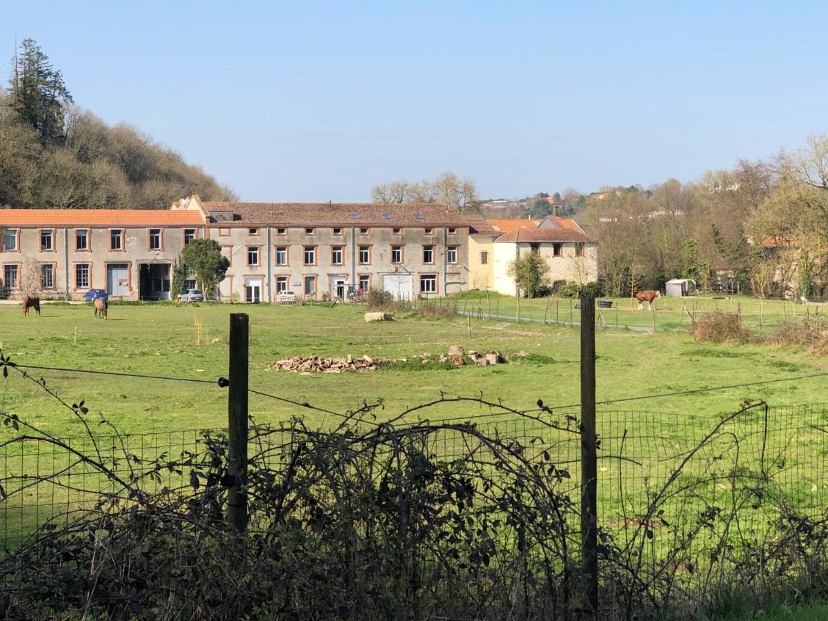 Le Bord De Sevre Bed and Breakfast Saint-Laurent-sur-Sèvre Buitenkant foto